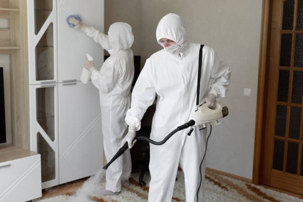 Mold Testing and Removal in Greensboro, AL