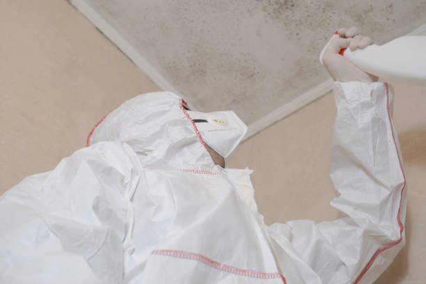 Best Toxic Mold Removal  in Greensboro, AL