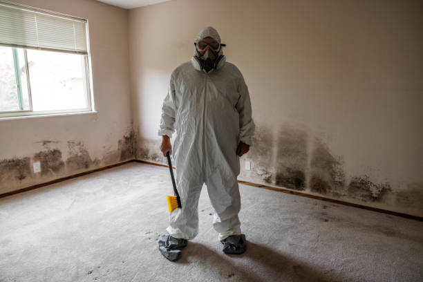 Best Toxic Mold Removal  in Greensboro, AL